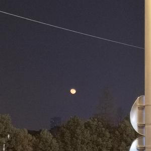 羞辱乳夹滴蜡鞭打调教
