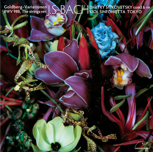 羞辱乳夹滴蜡鞭打调教
